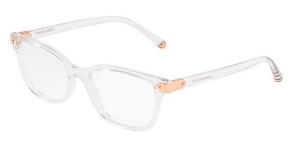 Dolce&Gabbana DG5036 3133 Crystal Butterfly Glasses in Crystal
